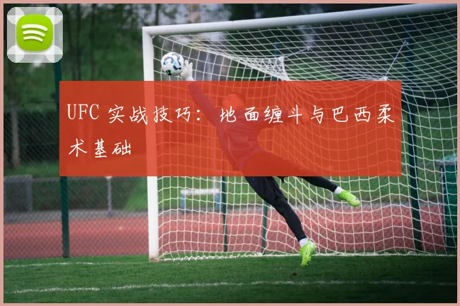 UFC 实战技巧：地面缠斗与巴西柔术基础