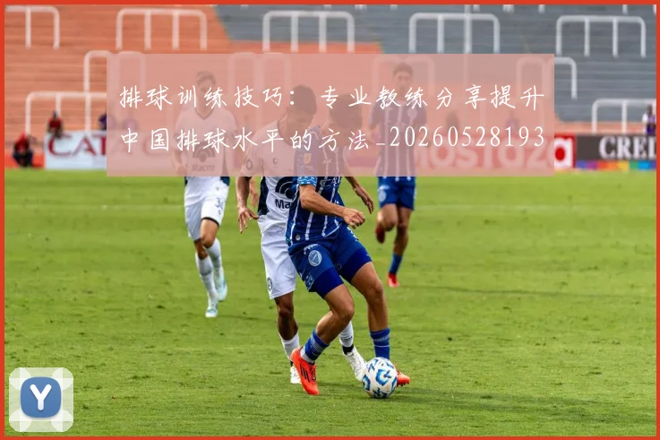 排球训练技巧:专业教练分享提升中国排球水平的方法_20260528193035